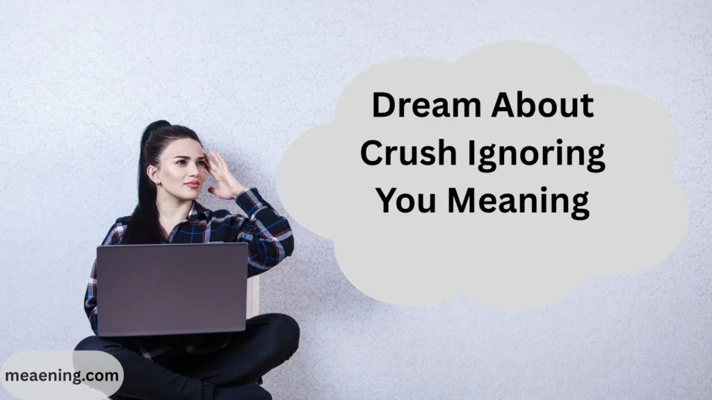 Dream About Crush Ignoring You Meaning