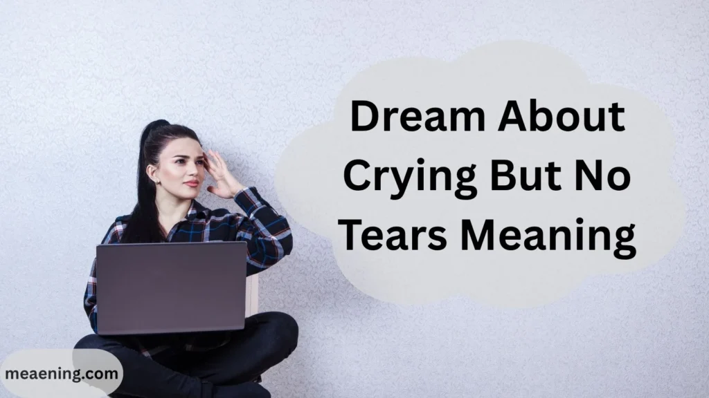 Dream About Crying But No Tears Meaning: Hidden Emotions and Silent Struggles