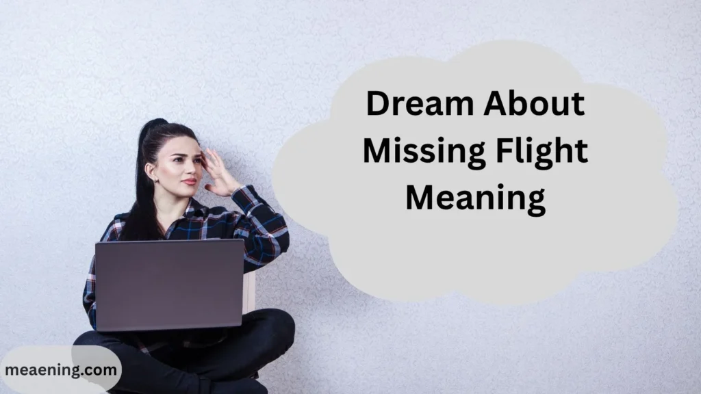 Dream About Missing Flight Meaning